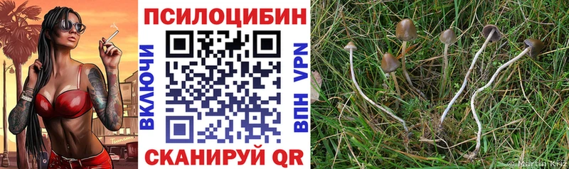Псилоцибиновые грибы Magic Shrooms  shop клад  Агидель  закладка  ОМГ ОМГ вход 